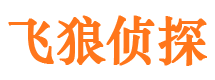 陆丰侦探调查公司